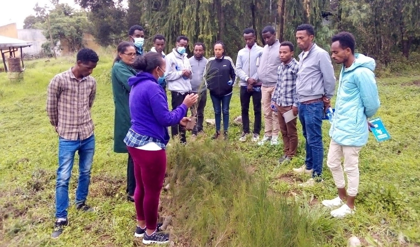Farmers and youth being trained on nursery site establishment