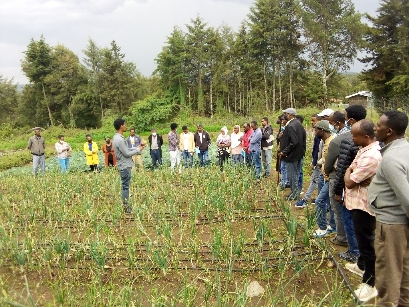 In field training for farmers and youth